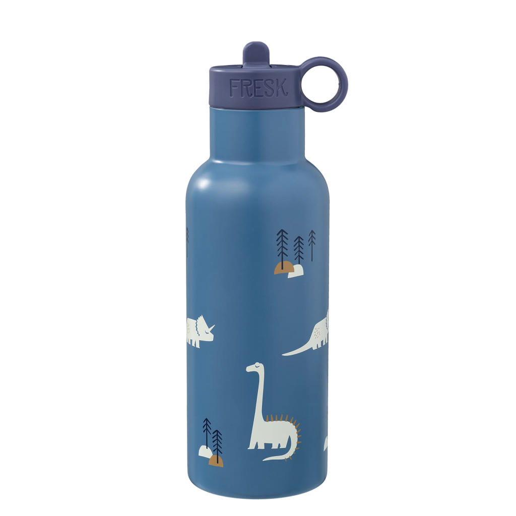 Fresk Nordic termofľaša dino, 500 ml