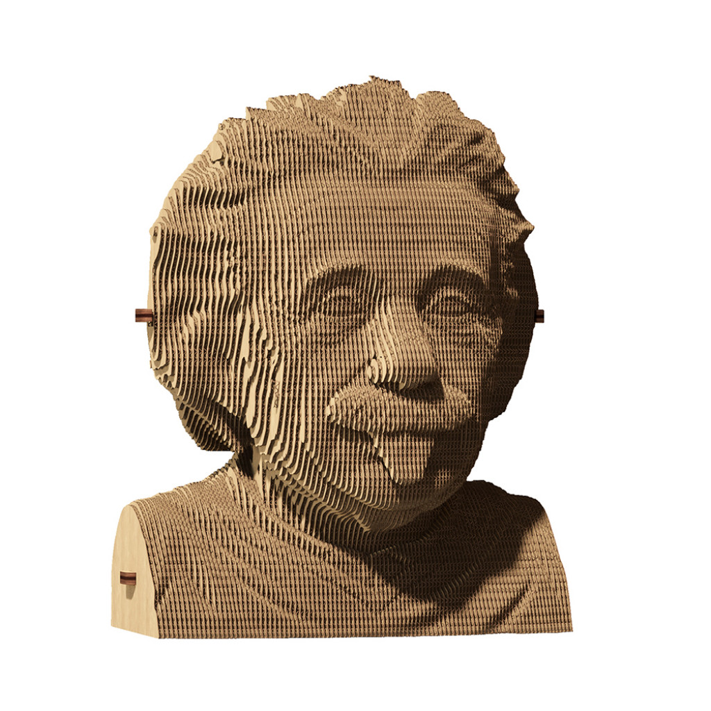 Cartonic Cartonic Kartónové 3D puzzle Albert Einstein