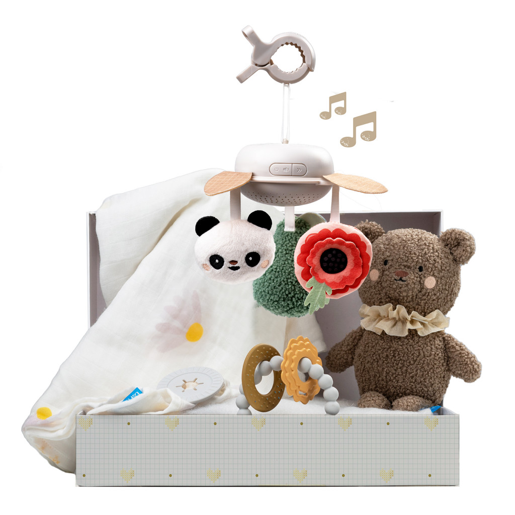 Taf Toys Sada hračiek Newborn Luxe