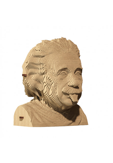 Cartonic Kartónové 3D puzzle Albert Einstein