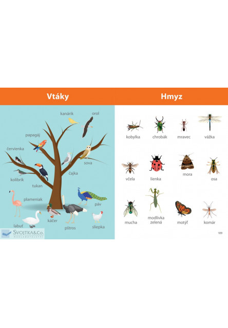 Môj veľký zošit Montessori Prvé slová