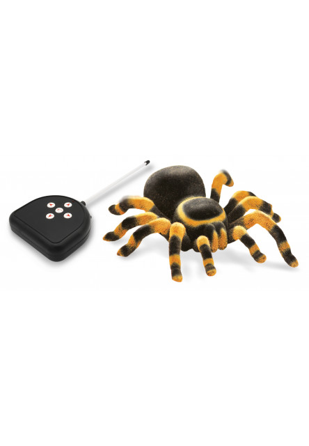 Tarantula na DO