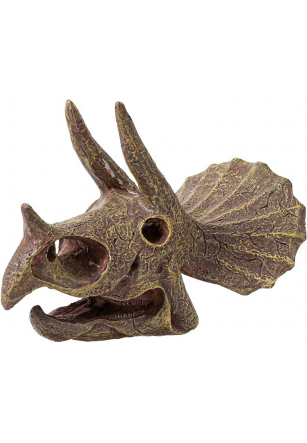 Výstavná lebka -  Triceratops