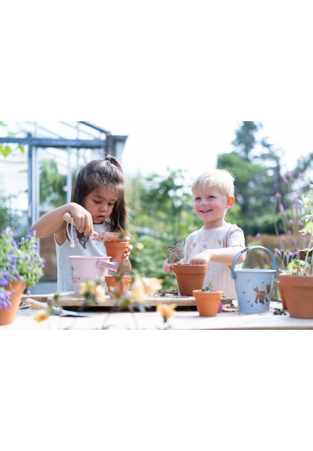 Vedierko Fairy Garden